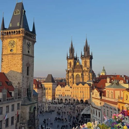 1259664b29cc69f5e273e67b76781346 (1)