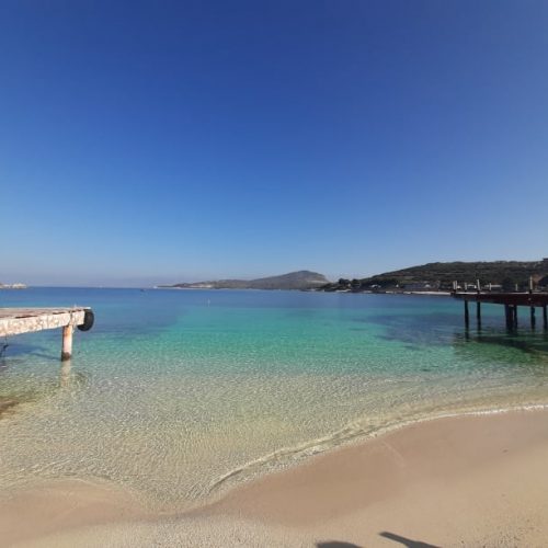 157405250_465934661095507_4552383410366267756_n