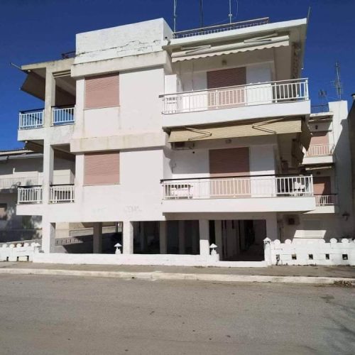 339829537_770770274396451_1450402306810444004_n-1 (1)