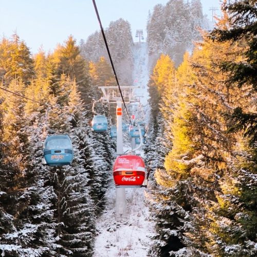 36616392ca4de13d048fa6d7b5cf20c0