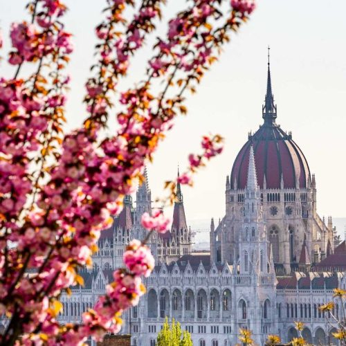 39fc72c5933b50fbe84d5f667f717300