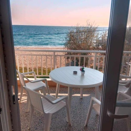 462550729_1634182987190514_4521742761089323482_n (1)