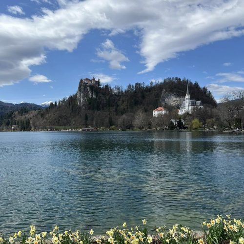 487538054_1129354179236543_122829876421157657_n