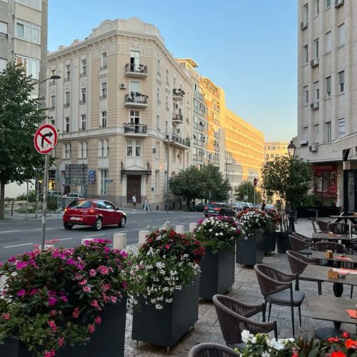 488618010_1136901528481808_363335857774387474_n