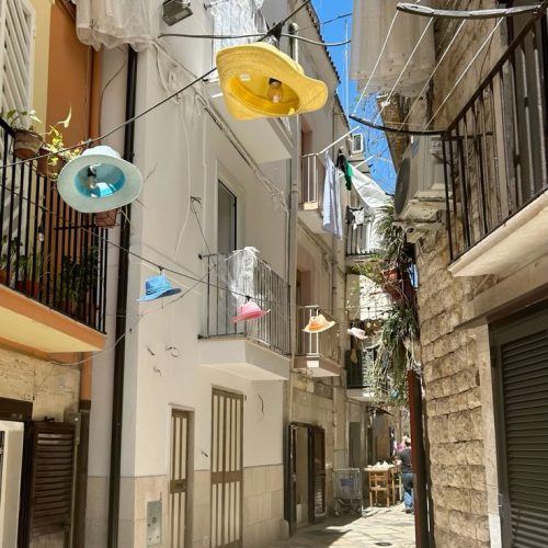 517c2646059a99bdb455415d6572ea9d