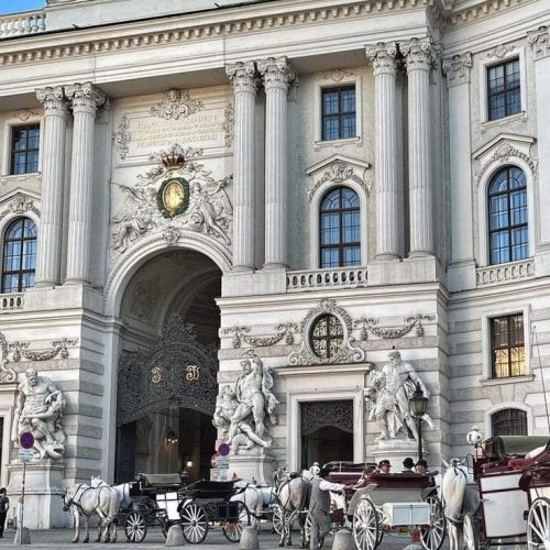 551128067_1280799150758711_8122881704849704903_n