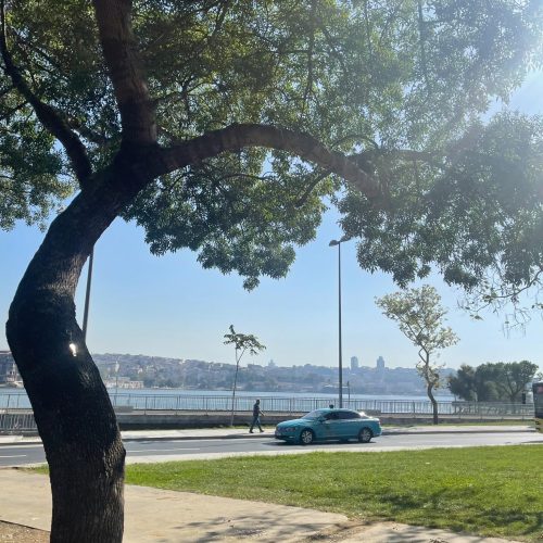 Processed with VSCO with a4 preset