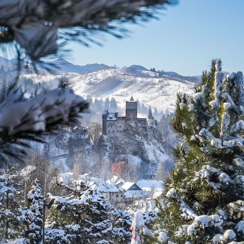 574389464_1319035876935038_5857030476884489407_n