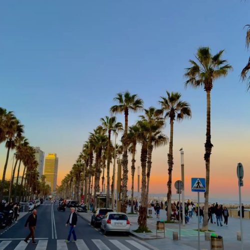 7c7e88c9dc16190f158de753b69a2984