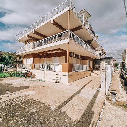 82237337_1015753962109883_4881465584442671104_n (1)