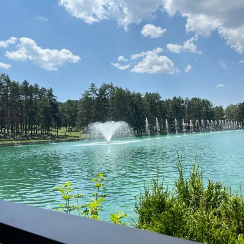 8c23fcb8af23cd40769e4ef7102e75c1