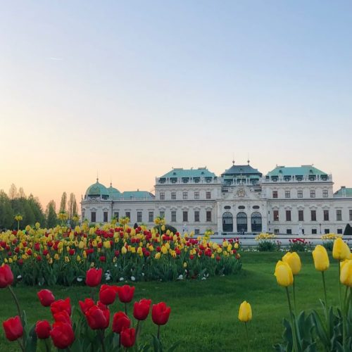 9c7a3bcdba0f8c917337f11bb3648de6