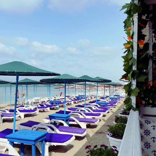 WhatsApp-Image-2022-11-18-at-13.33.40