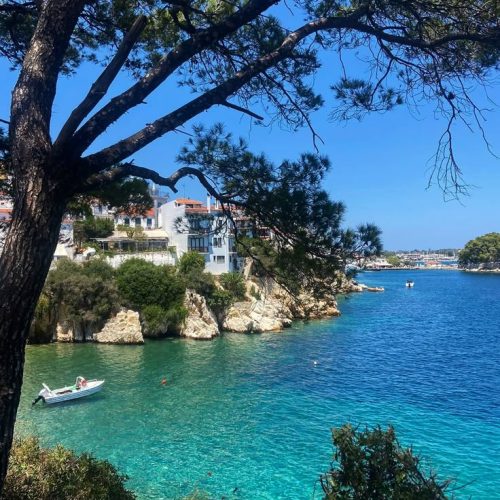 a253364348cc6360382be35de0d92d6b