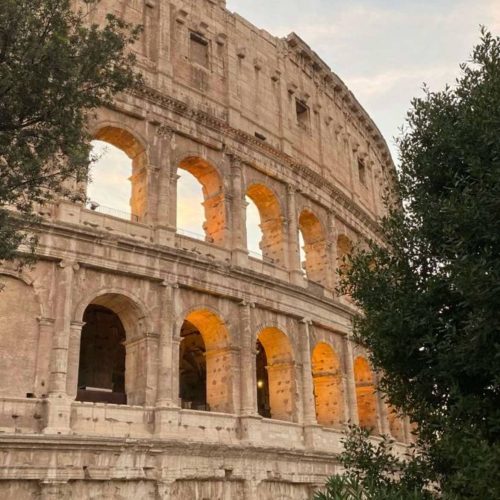 ee11fdd2-f977-491f-aac8-b33c9ea2ca23