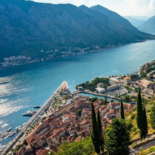 viber_image_2022-11-08_15-40-23-254