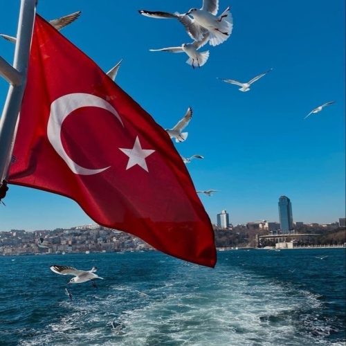 viber_image_2024-01-18_15-51-26-529