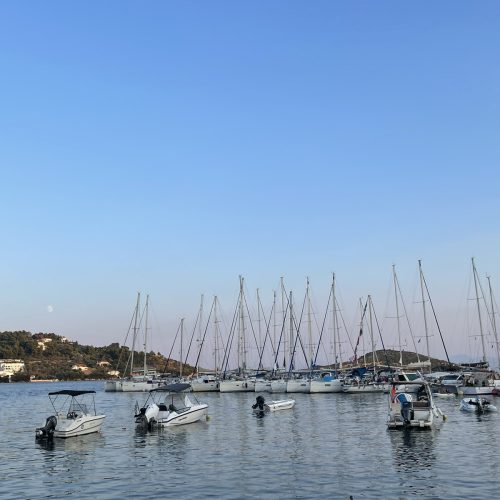 viber_image_2024-02-08_11-47-58-943