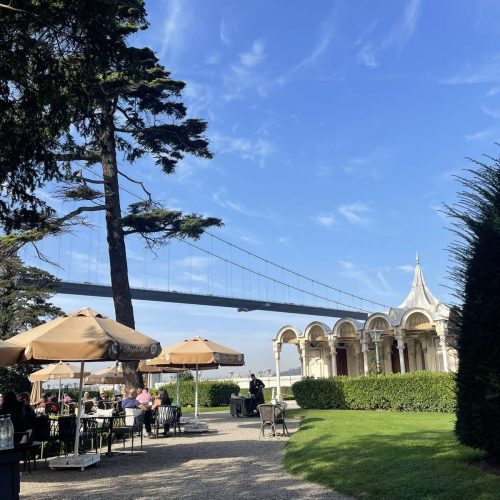 viber_image_2024-11-05_11-17-01-431