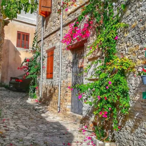 viber_image_2025-04-29_20-01-59-445