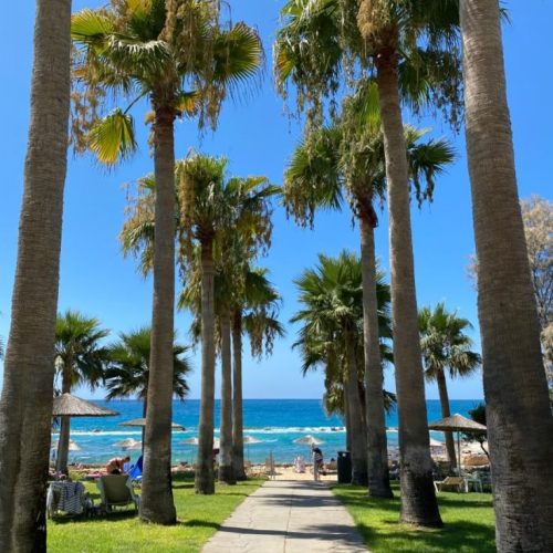 viber_image_2025-04-29_20-01-59-505