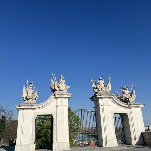 viber_image_2025-09-16_12-54-03-793