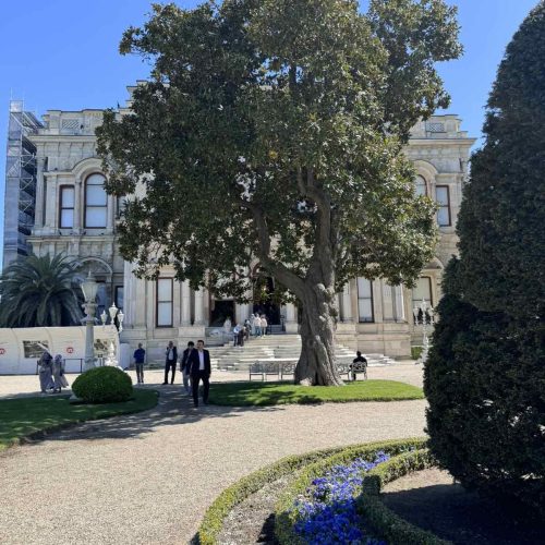 viber_image_2025-09-22_10-28-35-618