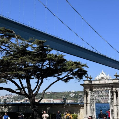 viber_image_2025-09-22_10-28-35-808