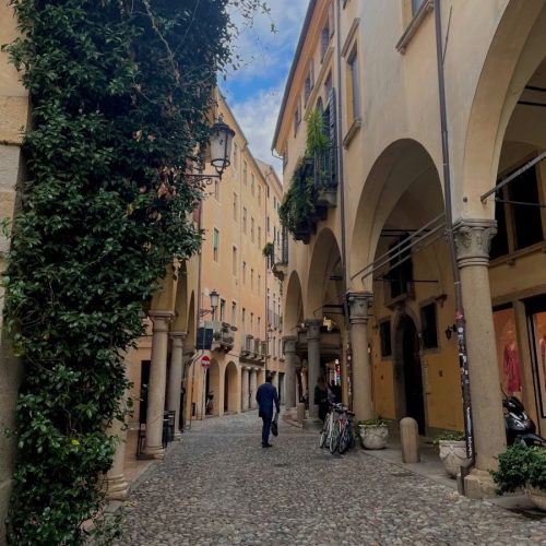 viber_image_2025-11-03_19-55-25-607