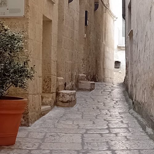 viber_image_2025-11-12_14-17-20-025