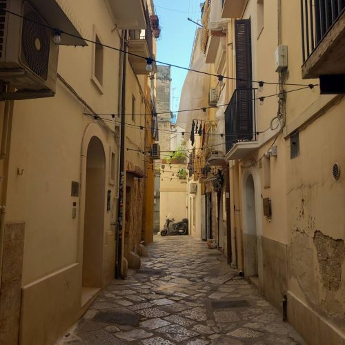 viber_image_2025-11-12_14-18-29-292