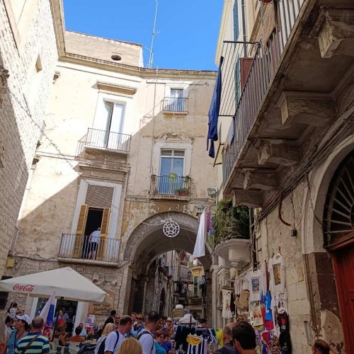 viber_image_2025-11-12_14-18-31-050