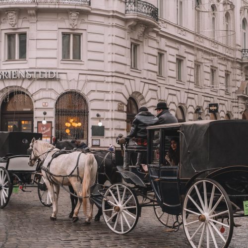 vienna-winter-4